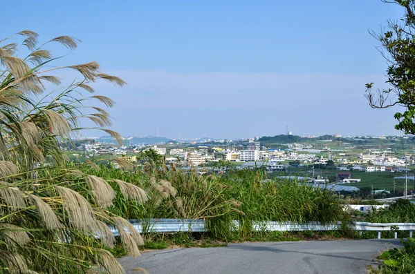 Pohled Krajinu Okinawan Japonsku — Stock fotografie