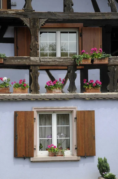 Fenster Eines Hauses Elsass — Stockfoto