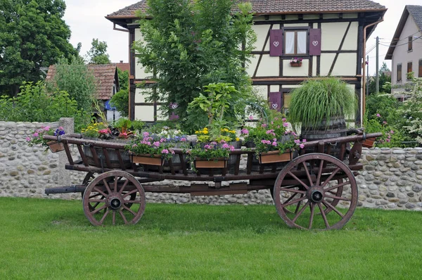 Flores Carro Alsácia — Fotografia de Stock