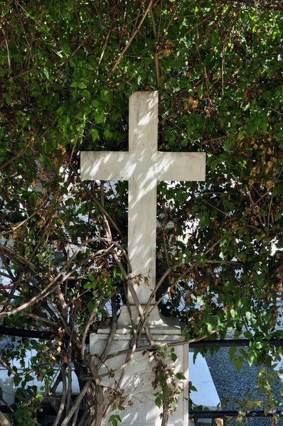 Mramorový Kříž Starý Náhrobek Sluneční Světlo Přes Zarostlé Větve Rostlin — Stock fotografie