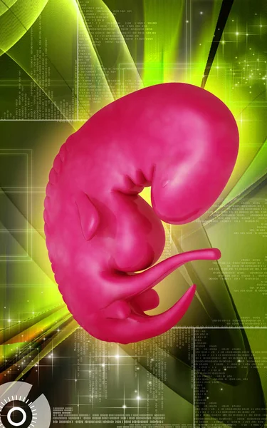 Цифровая Иллюстрация Эмбриона Цветном Фоне — стоковое фото