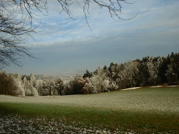 Hoar Heladas Bayerwald —  Fotos de Stock