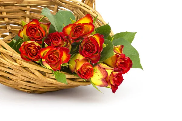 Красные Желтые Розы Корзине — стоковое фото