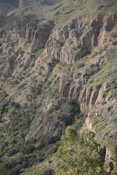 Caldera Bandama Gran Canaria — ストック写真