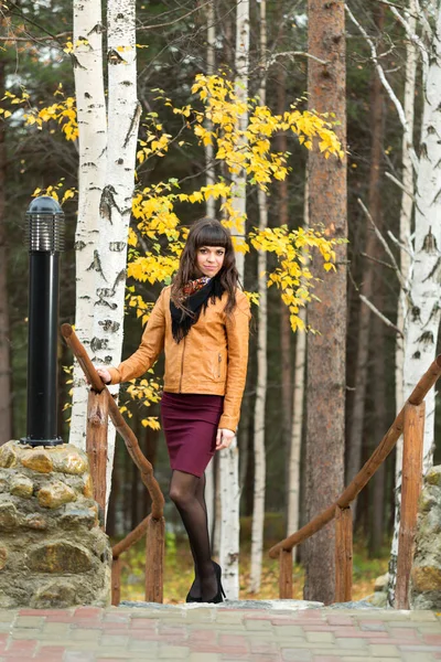 Charmantes Mädchen Herbstwald Auf Der Treppe — Stockfoto