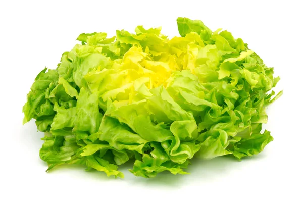 Salade Een Witte Ondergrond — Stockfoto