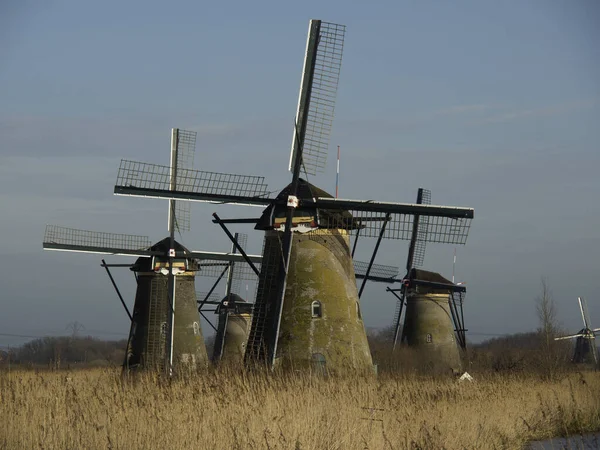 Molens Van Kinderdijk — Stockfoto
