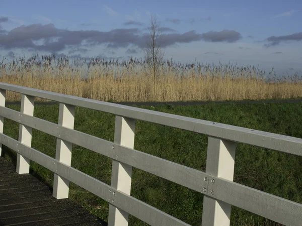 Στους Μύλους Της Kinderdijk — Φωτογραφία Αρχείου