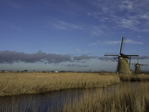 Wiatraki Kinderdijk — Zdjęcie stockowe