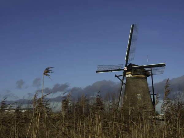 Wiatraki Kinderdijk — Zdjęcie stockowe