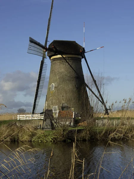 Die Mühlen Von Kinderdijk — Stockfoto