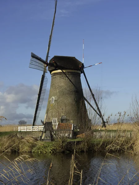 Szélmalmok Kinderdijk — Stock Fotó