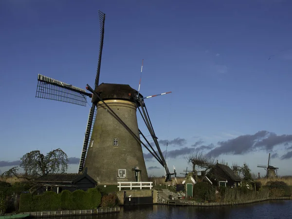 Moinhos Vento Kinderdijk — Fotografia de Stock