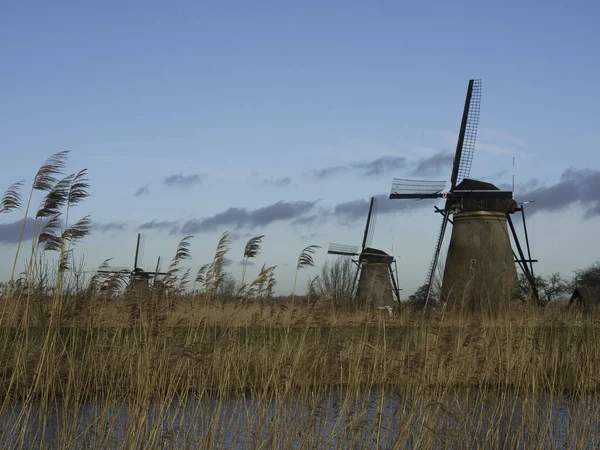 Młyny Kinderdijk — Zdjęcie stockowe