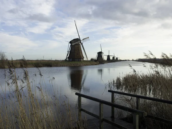 Windmills Kinderdijk — Stock Photo, Image