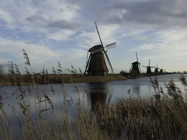 Kinderdijk의 — 스톡 사진