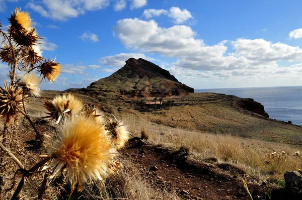 Dica Ilha Madeira Foto Tirada Longo Caminho Que Leva Ponta — Fotografia de Stock