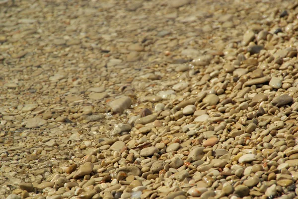 海滩上的鹅卵石 海滩上的鹅卵石 — 图库照片