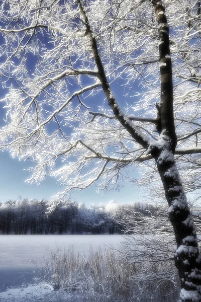 Paisaje Cubierto Nieve Hielo Liepnitzsee Brandenburg — Foto de Stock