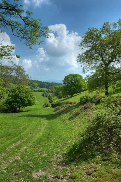 英格兰理查兹城堡附近的赫里福德郡小径 — 图库照片
