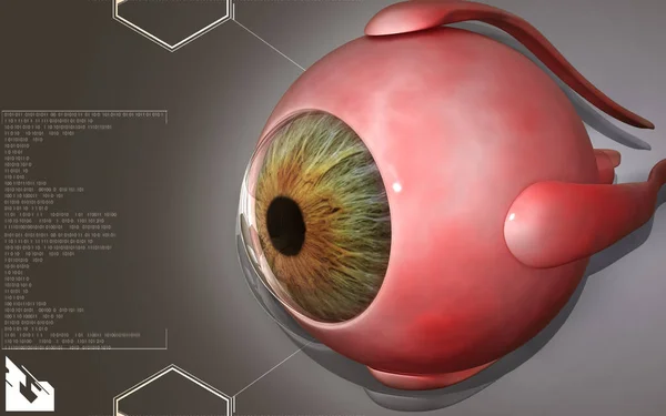 Illustration Numérique Oeil Arrière Plan Couleur — Photo