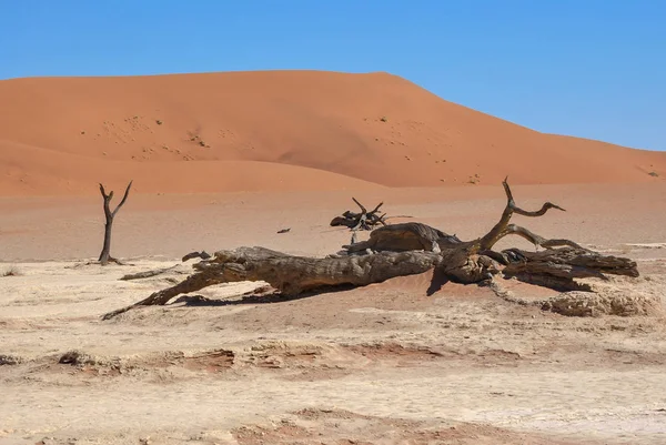 Vista Del Paisaje Del Desierto Namibia — Foto de Stock