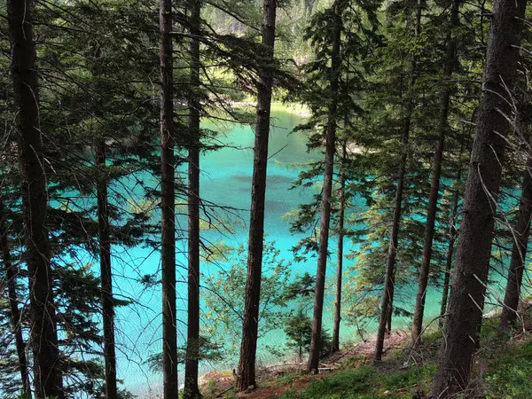 Zelené Jezero Lese — Stock fotografie