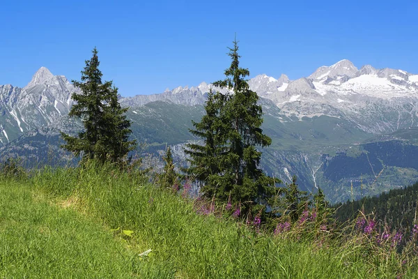 Viev Passagem Simples Para Aletschhorn — Fotografia de Stock