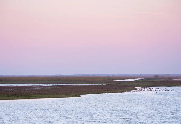 Réserve Naturelle Oostvaardersplassen Dans Province Flevoland Pays Bas — Photo