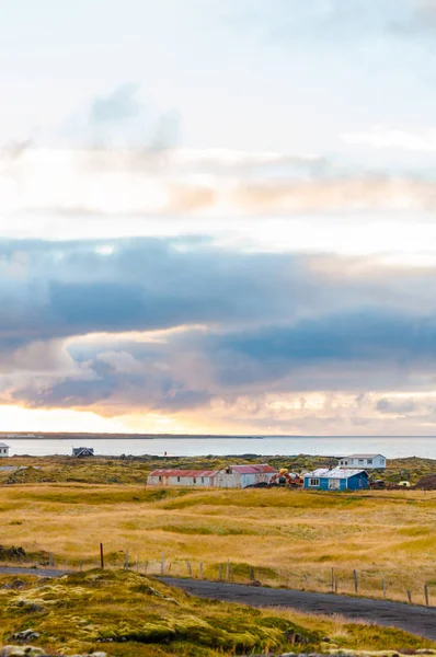 Ijslands Landschap Met Vulkanische Rotsen Groen Gras — Stockfoto