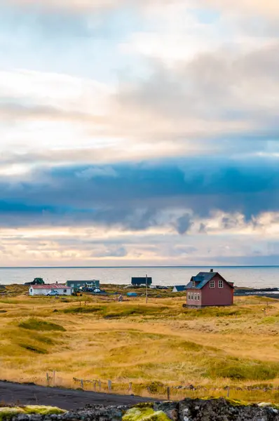 Ijslands Landschap Met Vulkanische Rotsen Groen Gras — Stockfoto