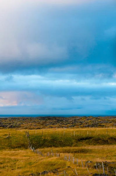 Islandzki Krajobraz Skałami Wulkanicznymi Zieloną Trawą — Zdjęcie stockowe