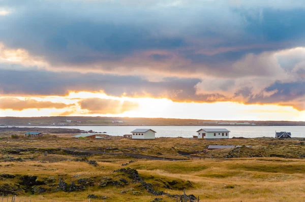 Paisagem Islandesa Com Rochas Vulcânicas Grama Verde — Fotografia de Stock