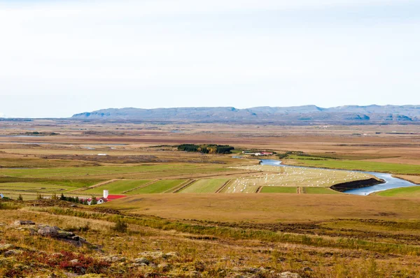 Islandzki Krajobraz Skałami Wulkanicznymi Zieloną Trawą — Zdjęcie stockowe