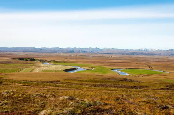 Islandsk Landskab Med Vulkanske Klipper Grønt Græs - Stock-foto