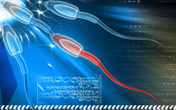 Ilustración Digital Los Espermatozoides Color — Foto de Stock