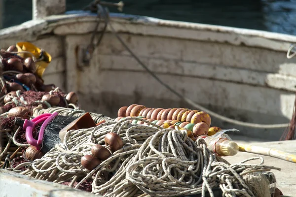 Stray Cat Port Boccadasse Fishing Village — Stock Photo, Image