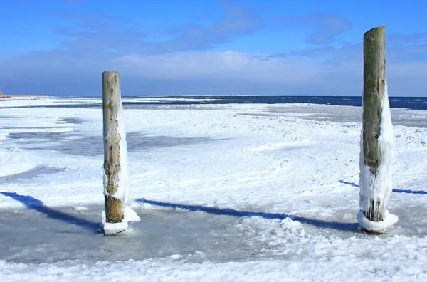 Winter Der Ostsee Bei Prerow Nationalpark Vorpommersche Boddenlandschaft Darß Mecklenburg — Stockfoto