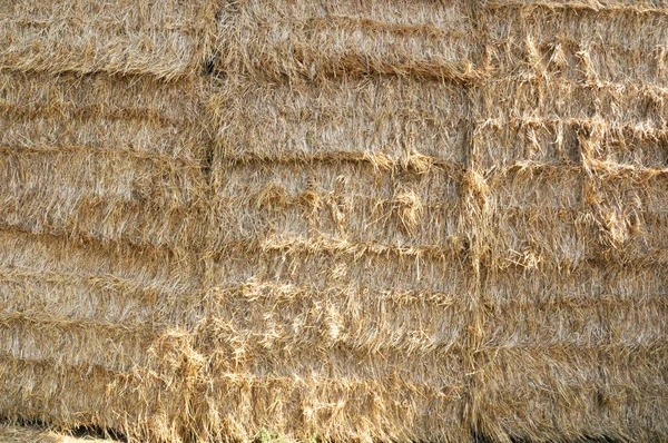 Vista Panoramica Dell Agricoltura Campagna — Foto Stock