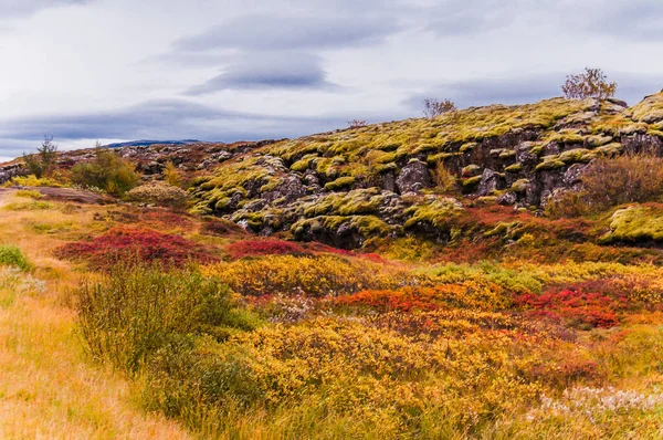 Thingvellir Nemzeti Park Izland — Stock Fotó