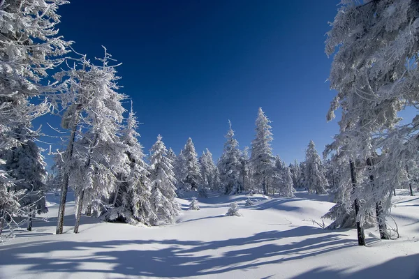 クリスマスの休日の装飾の景色 — ストック写真