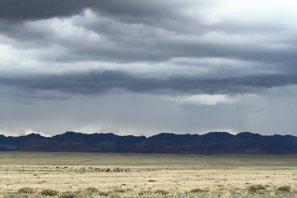 Období Dešťů Mongolsku — Stock fotografie