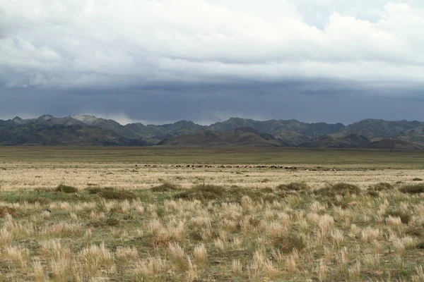 Saison Des Pluies Mongolie — Photo