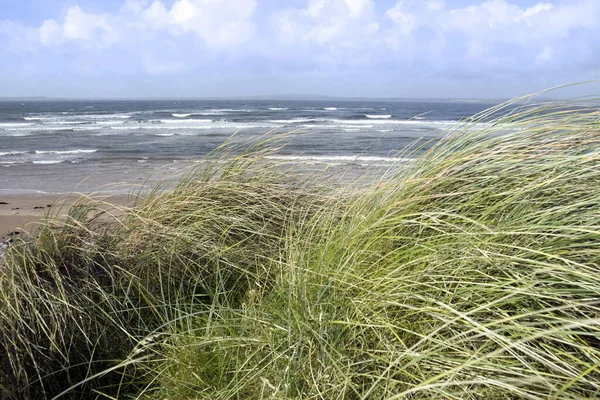 Pittoresk Uitzicht Buitenwereld — Stockfoto