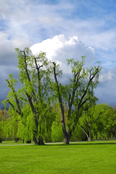 Nuvens Trovoadas Sobre Parque — Fotografia de Stock