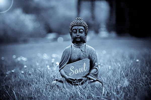Buddha Puistossa — kuvapankkivalokuva