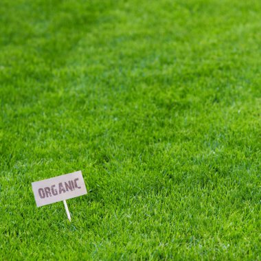 Background of neatly cut fresh lush green spring or summer grass with an Organic sign down in the left hand corner clipart