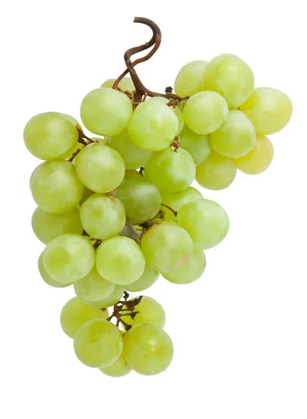 Gałąź Winogron Izolowana Białym Tle — Zdjęcie stockowe