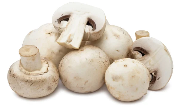 Cogumelos Champignon Frescos Isolados Sobre Fundo Branco — Fotografia de Stock