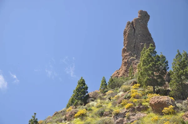 Fraile Gran Canaria — Foto de Stock